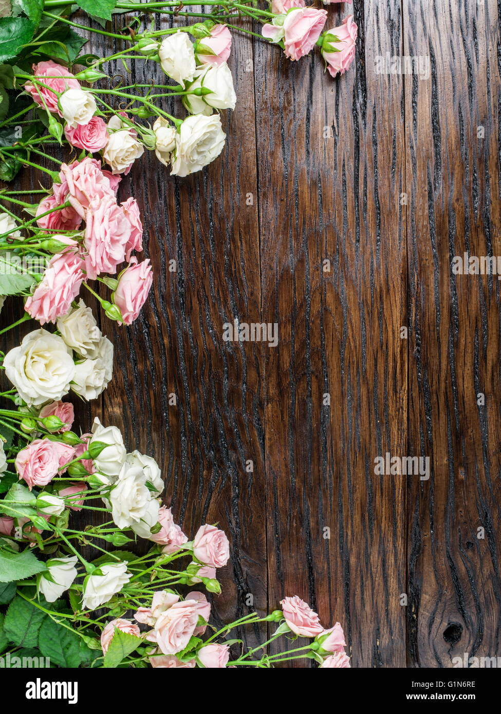 Delicadas rosas frescas en el fondo de madera. Foto de stock