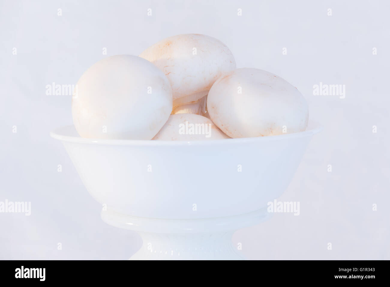 Clave alta imagen de setas blancas en un recipiente blanco Foto de stock
