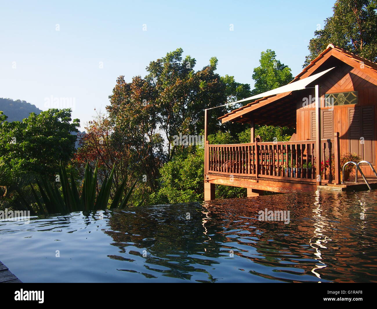 Un retiro de lujo en casa de árbol y piscina infinity en la selva Foto de stock