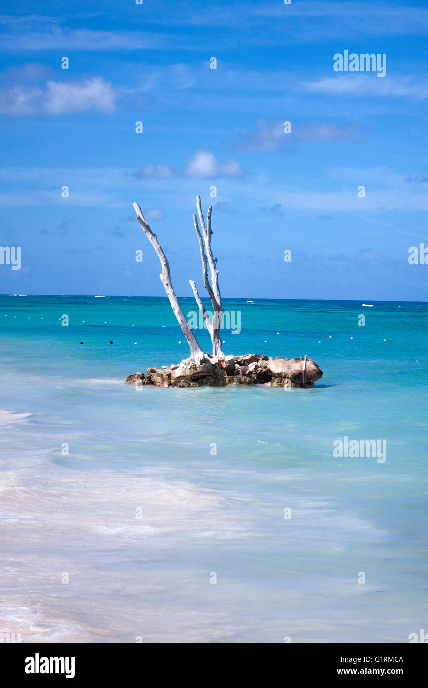 Pequeña isla en playa Bávaro en Punta Cana, República Dominicana Foto de stock