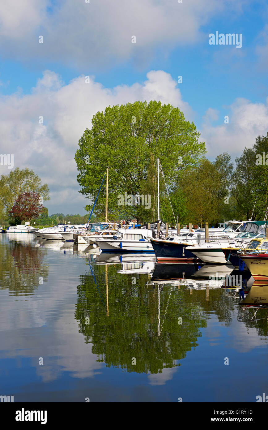 Barcas en el río Waveney en Beccles, Suffolk, Inglaterra Foto de stock