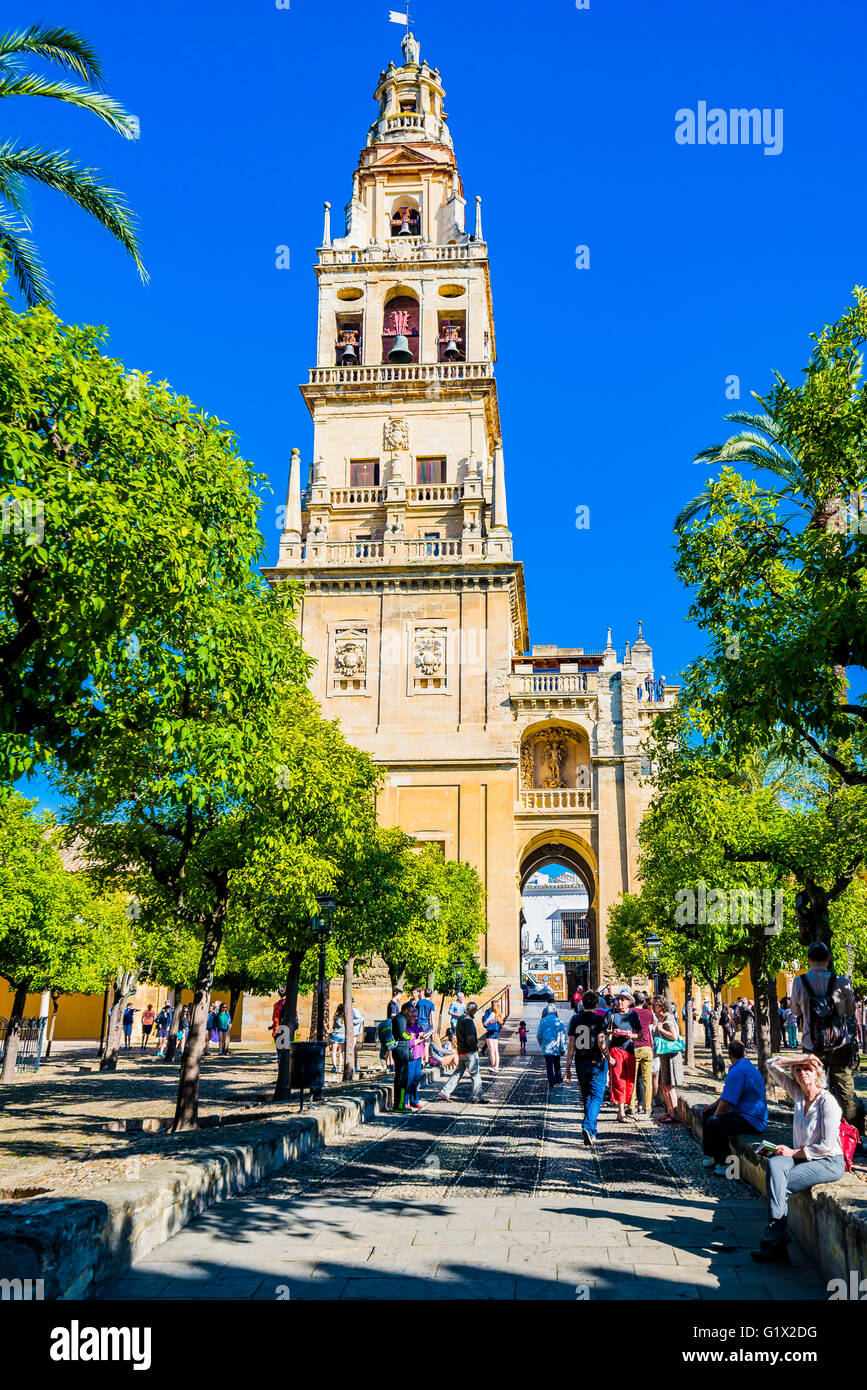 Como Se Ve Desde El Patio De Naranjos Fotos e Imágenes de stock Alamy