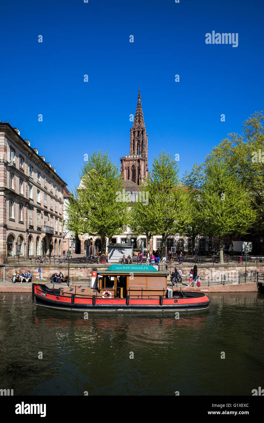 Batorama tour barco taquilla en un remolcador y la catedral de Estrasburgo, Alsacia, Francia Foto de stock