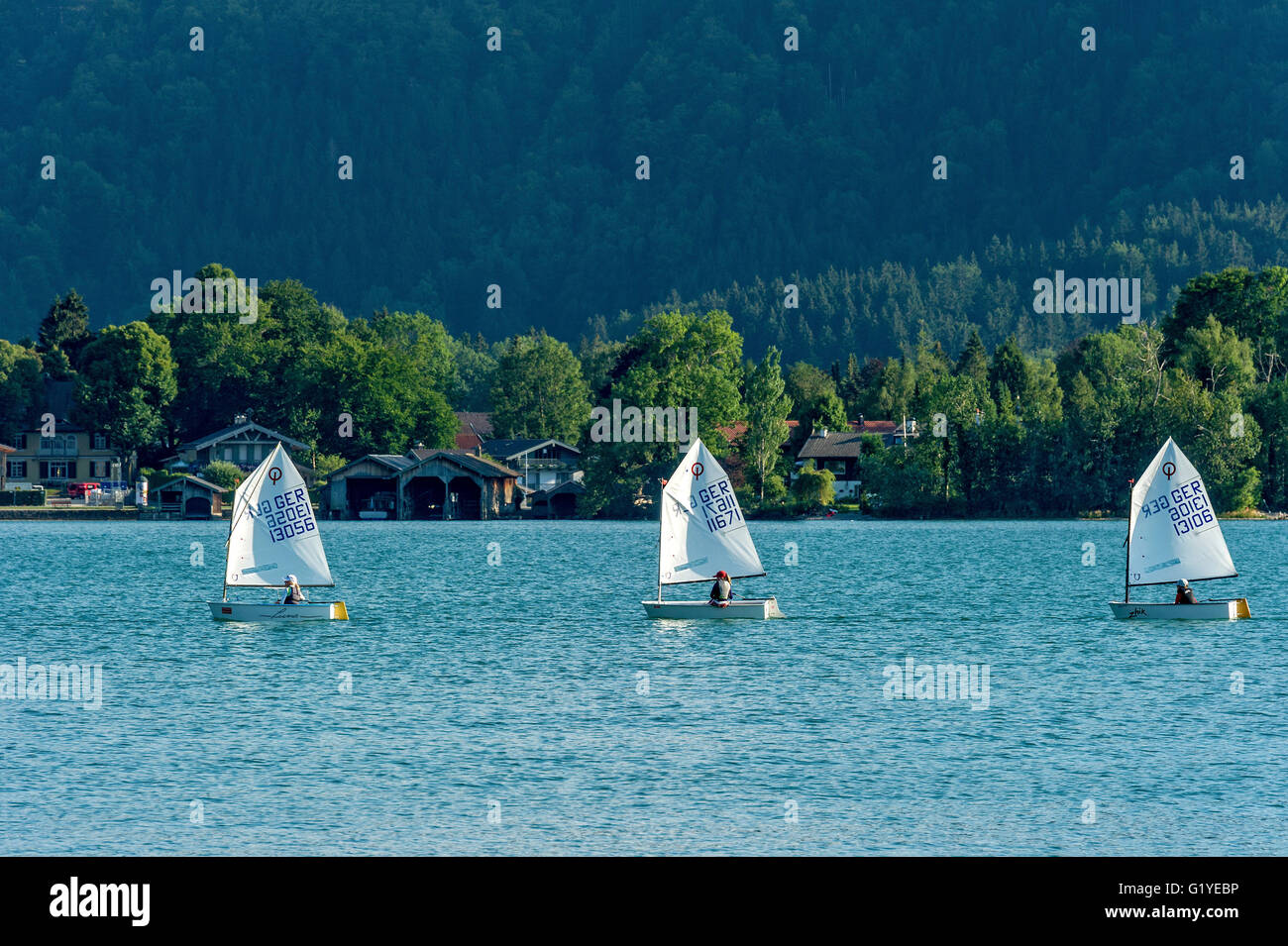 Regata con niños en velero, bote tipo optimista o Opti, Tegernsee, Alta Baviera, Baviera, Alemania Foto de stock