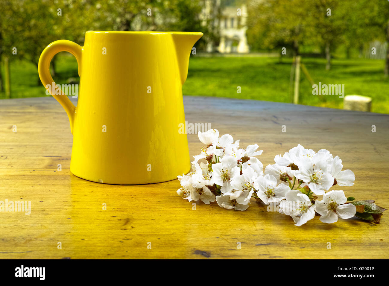 Cerámica amarilla puede y flores en mesa de madera antigua en el jardín Foto de stock