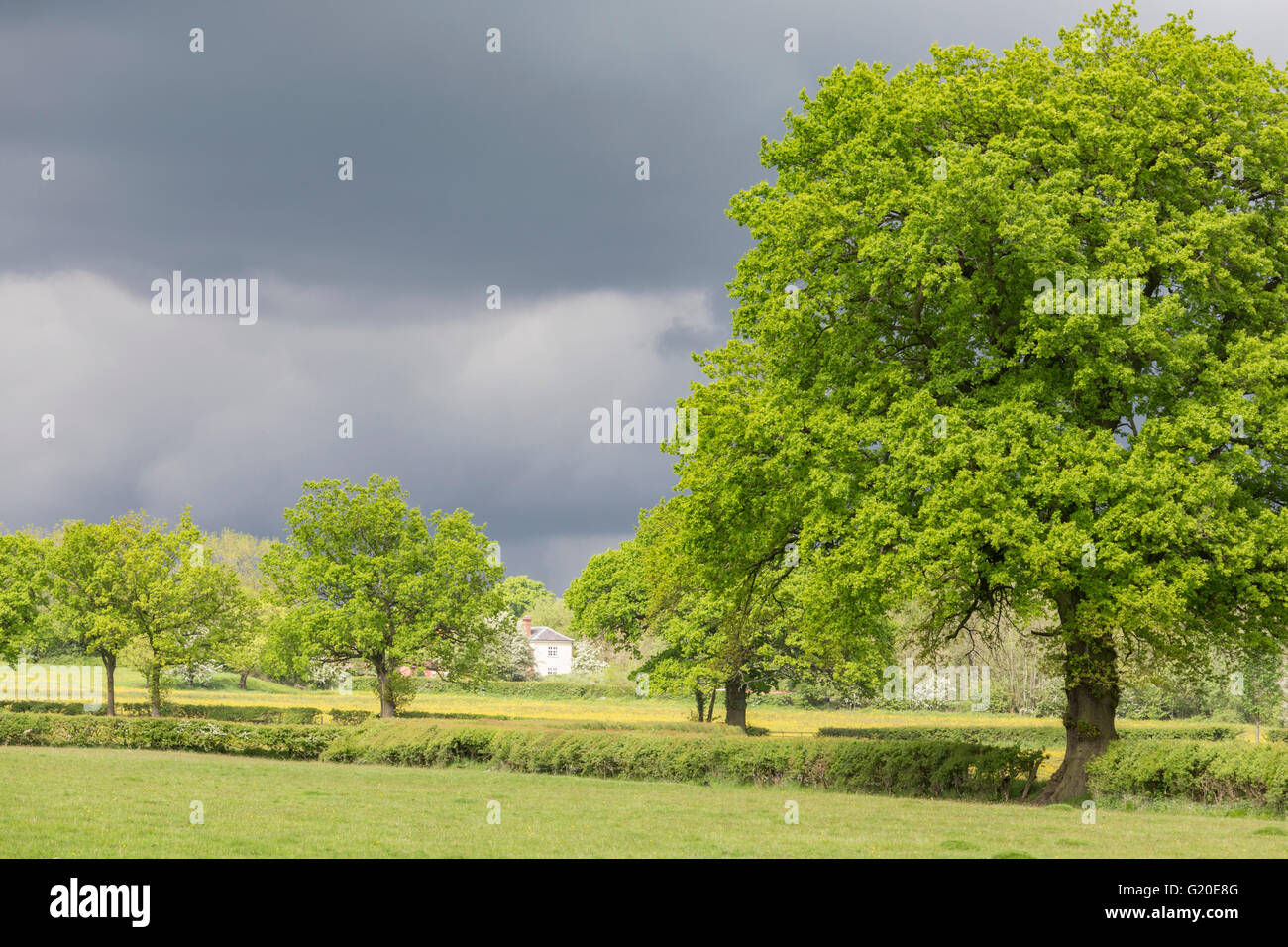 Nubes de tormenta sobre un paisaje inglés, Inglaterra, Reino Unido. Foto de stock