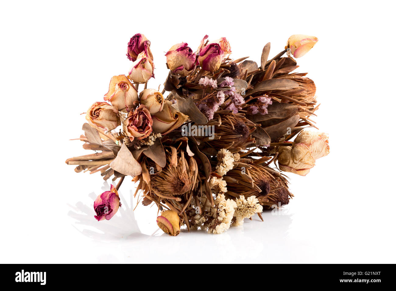 foto con flores en un jarrón, una composición de muchas flores de colores  diferentes de flores secas, secas, plantas secas decorativas Fotografía de  stock - Alamy