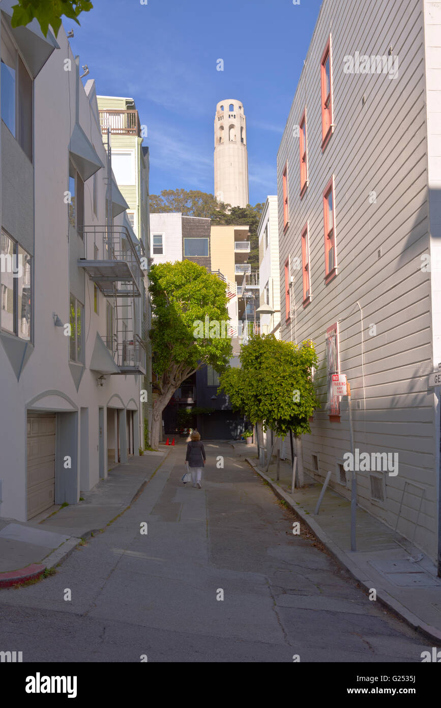 Barrio de San Francisco la torre Coit callejón cerca de California. Foto de stock