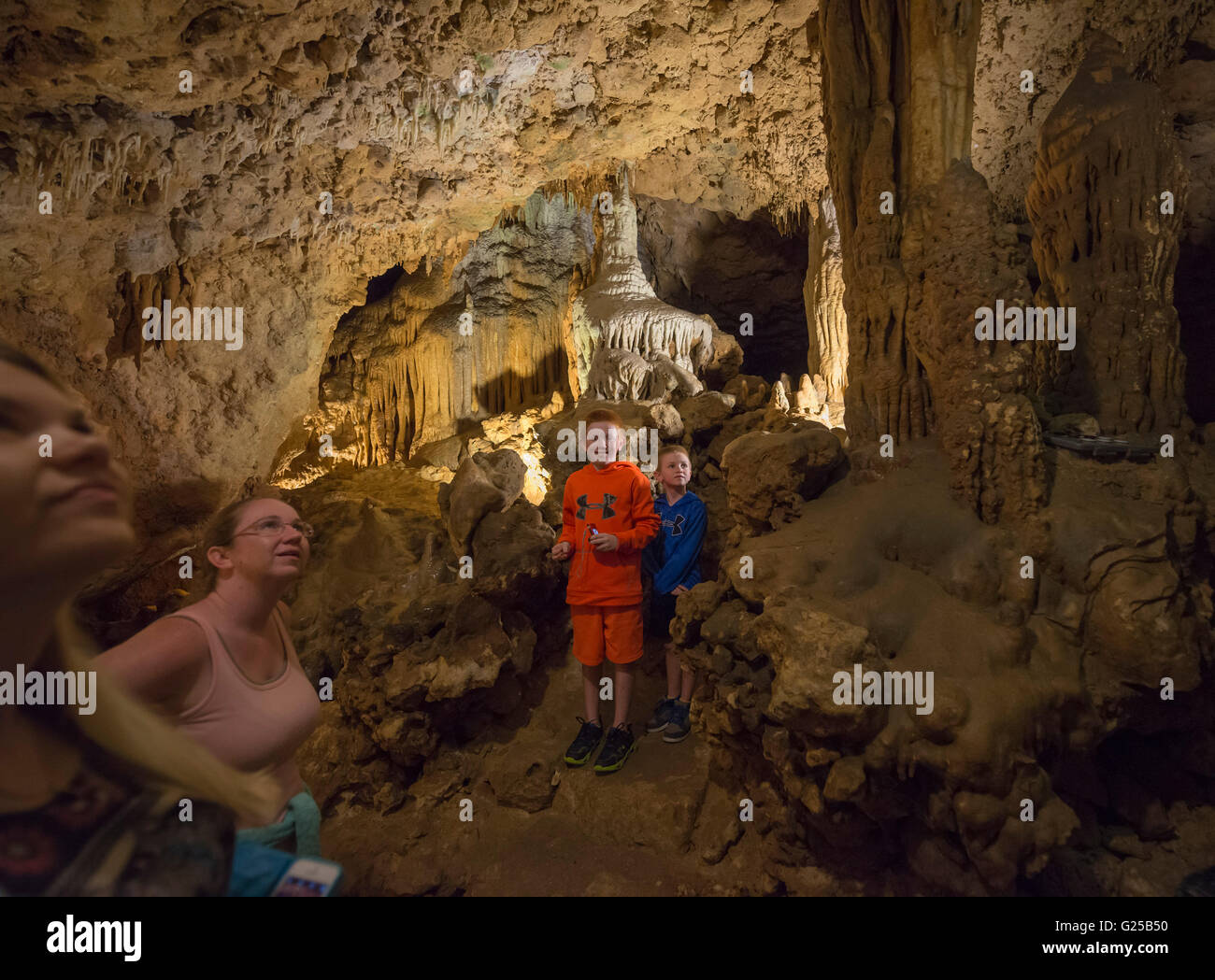 Florida Caverns State Park en Marianna, Florida ofrece excursiones a través de cuevas fantásticas formaciones geológicas de piedra caliza. Foto de stock