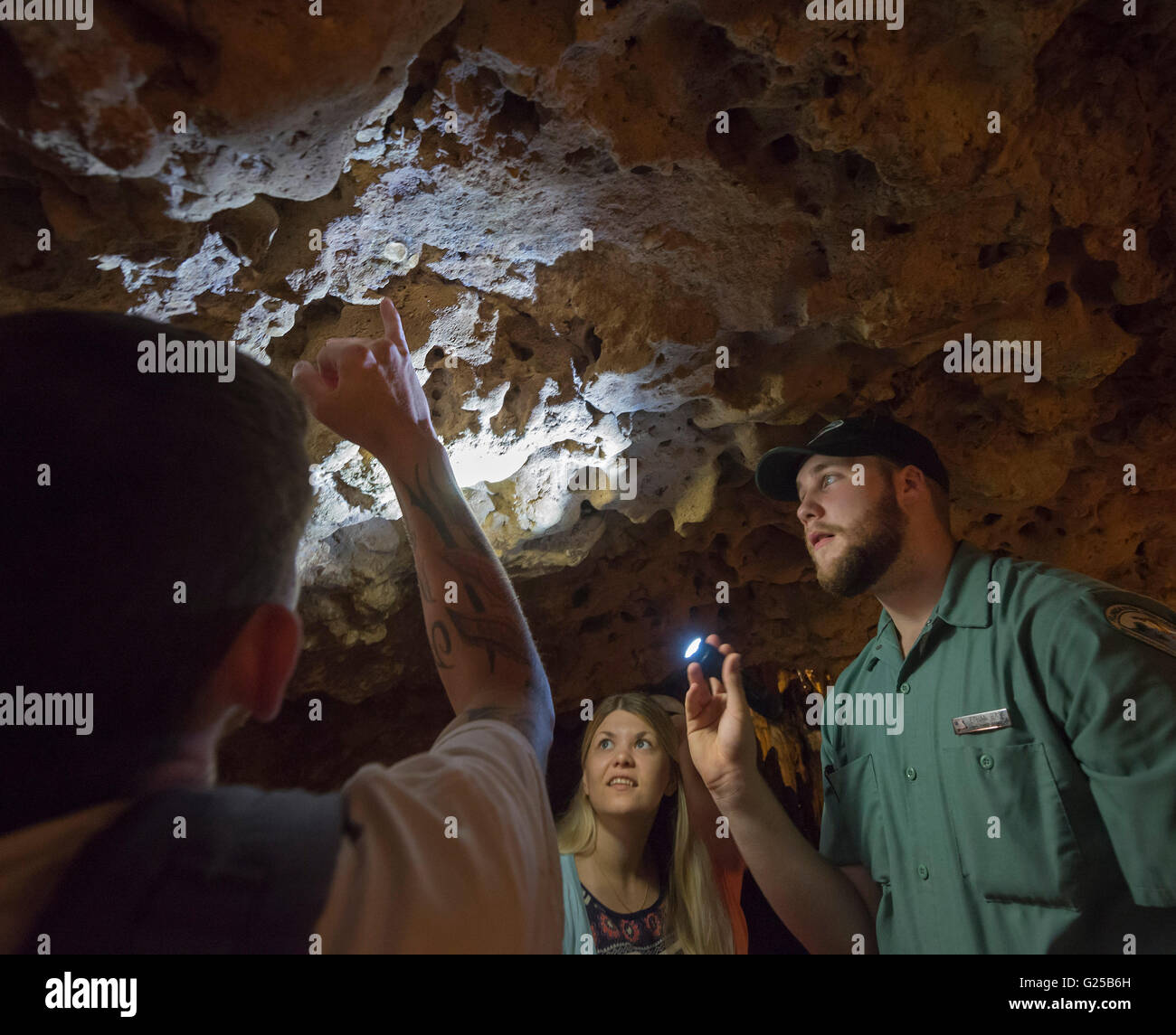 Florida Caverns State Park en Marianna, Florida ofrece excursiones a través de cuevas fantásticas formaciones geológicas de piedra caliza. Foto de stock