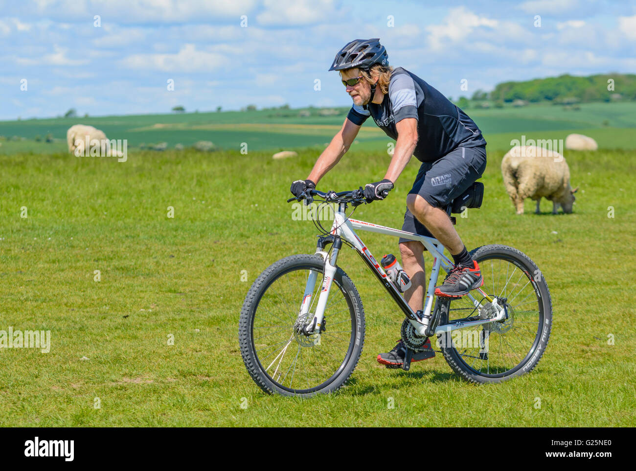 Joven el ciclismo a través de un campo en la campiña británica en los South Downs, West Sussex, Inglaterra, Reino Unido. Estilo de vida saludable. Foto de stock