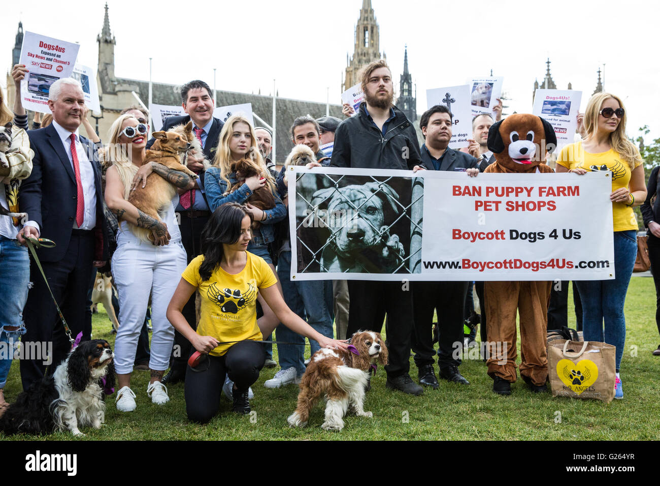 Londres, Reino Unido. El 24 de mayo, 2016. Los activistas protestan fuera  del Parlamento contra el abastecimiento por la tienda de mascotas perros4us  de cachorros de granjas de cachorros. El Medio Ambiente,