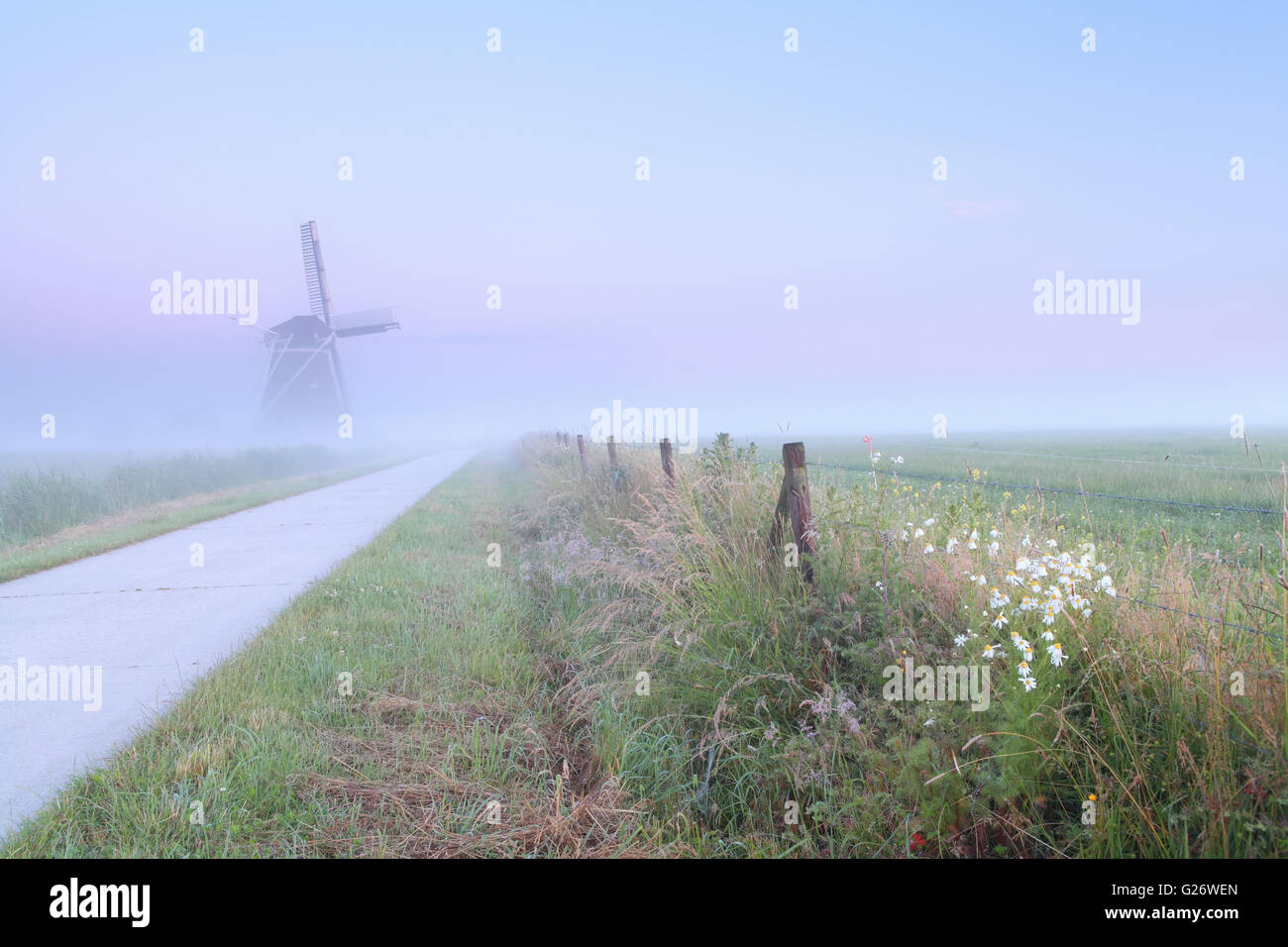 Dutch foggy finca con molino de viento en verano, Países Bajos Foto de stock