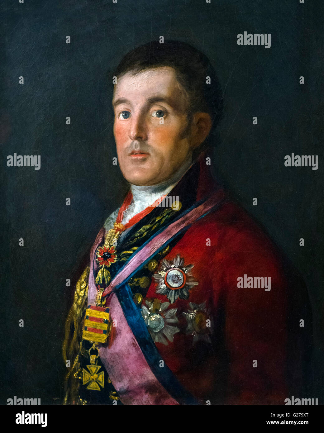 Duque de Wellington (1769-1852), retrato de Francisco de Goya, 1812-14. Foto de stock