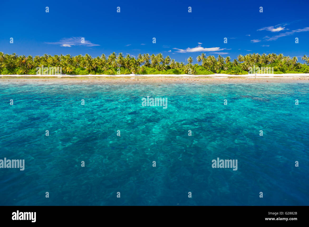 Blanca playa tropical en Maldivas con hermosas palmeras y laguna Azul. Concepto de fondo Foto de stock