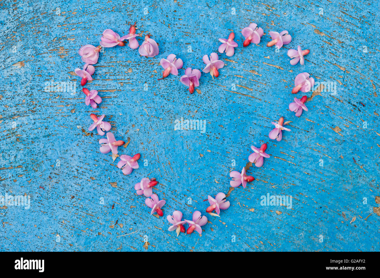 Forma corazón formado de flores rosas en un viejo textura fondo color azul turquesa vintage de fondo Foto de stock