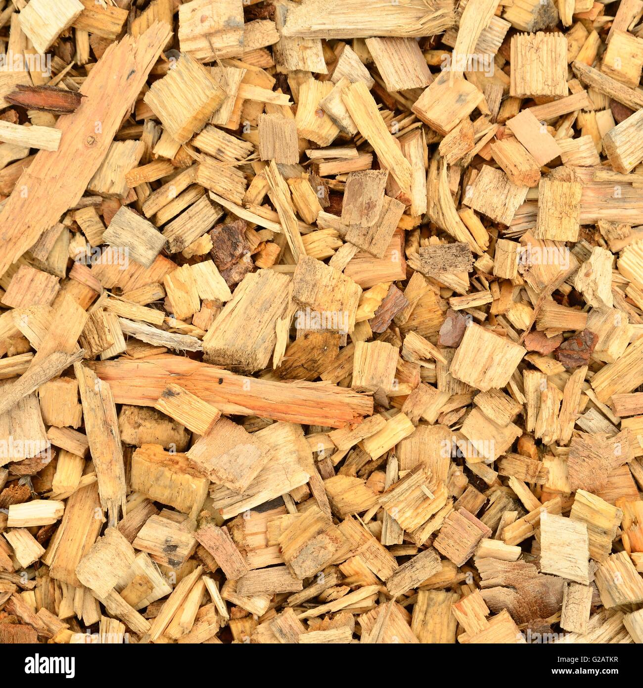 Viruta de madera fotografías e imágenes de alta resolución - Alamy