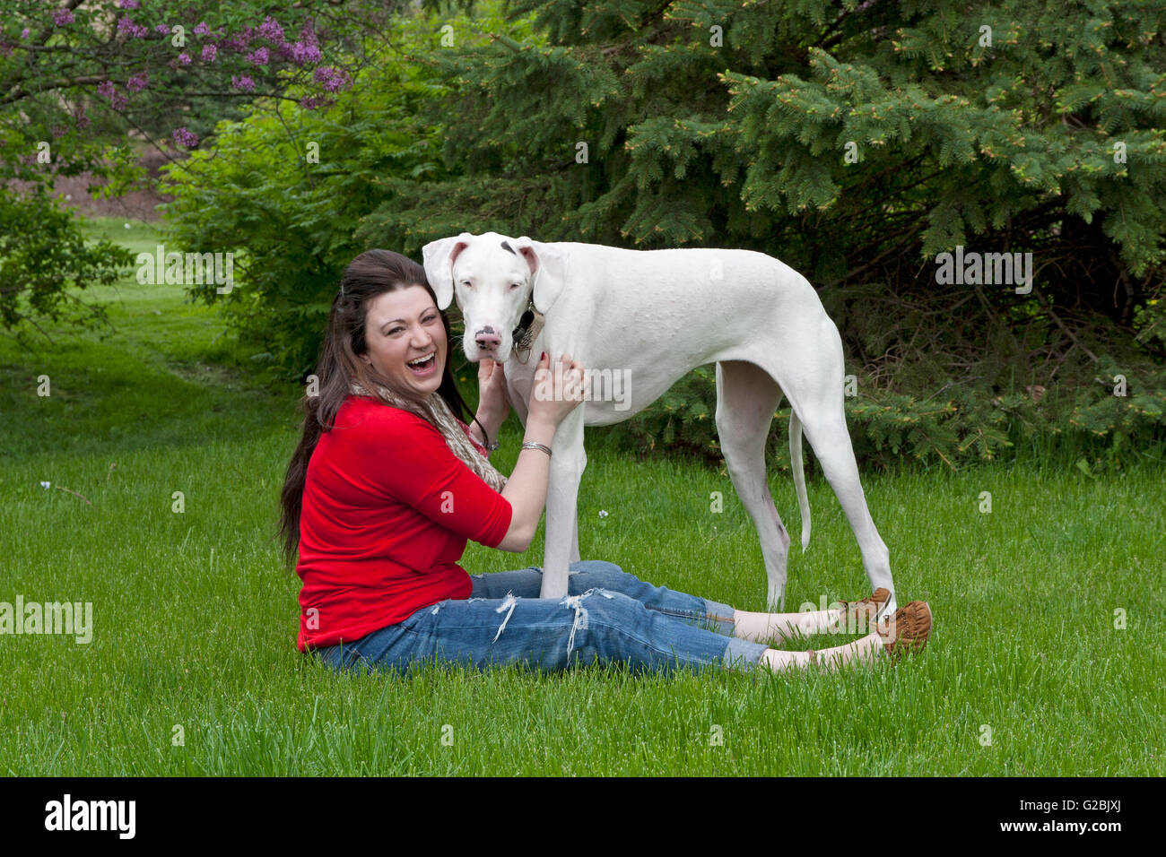 Chica en rojo se ríe mientras acariciándole perro grande Foto de stock