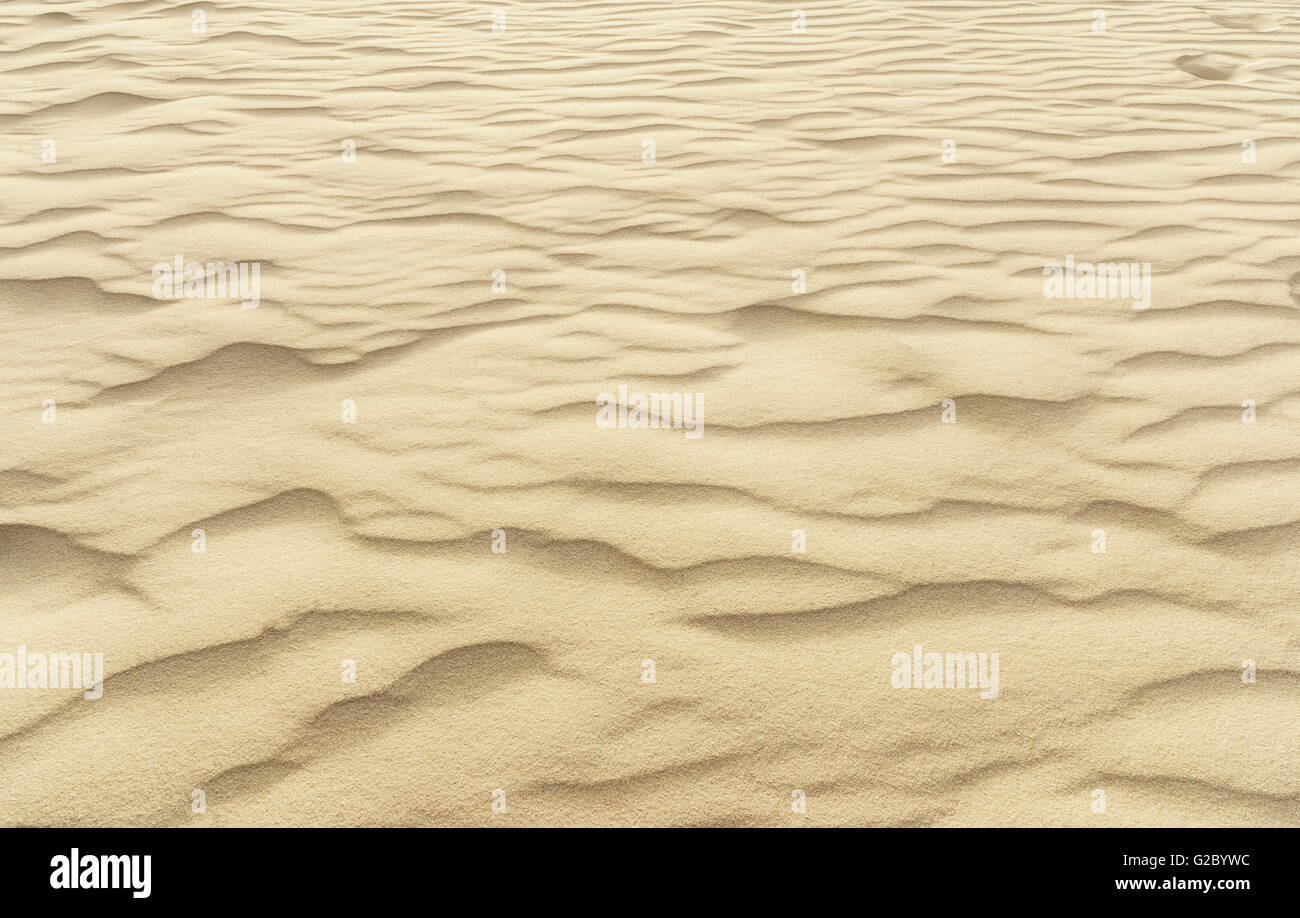 La textura de una duna de arena del desierto closeup Foto de stock