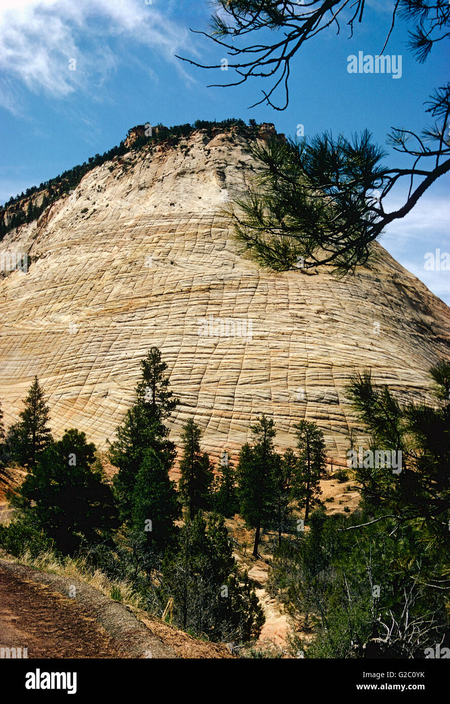 Panal Rock; el Parque Nacional de Zion; sur de Utah, EE.UU. Foto de stock