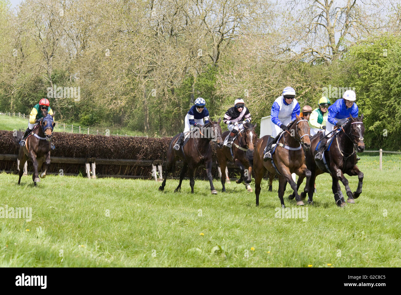 Caballo salto de vallas fotografías e imágenes de alta resolución Alamy