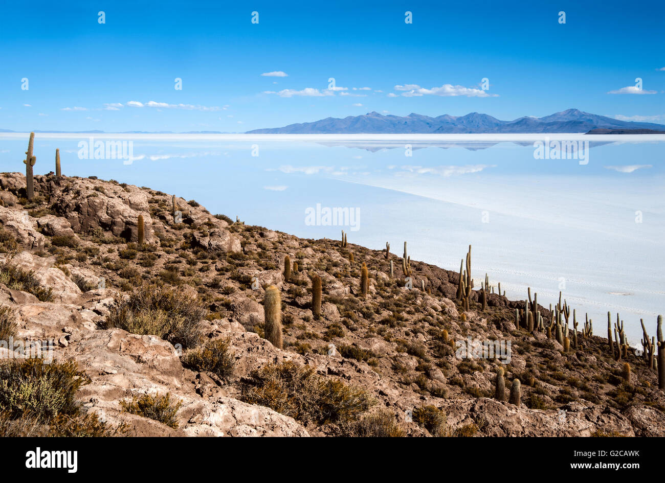 Isla de Pescadores, Salar Uyuni en Bolivia Foto de stock