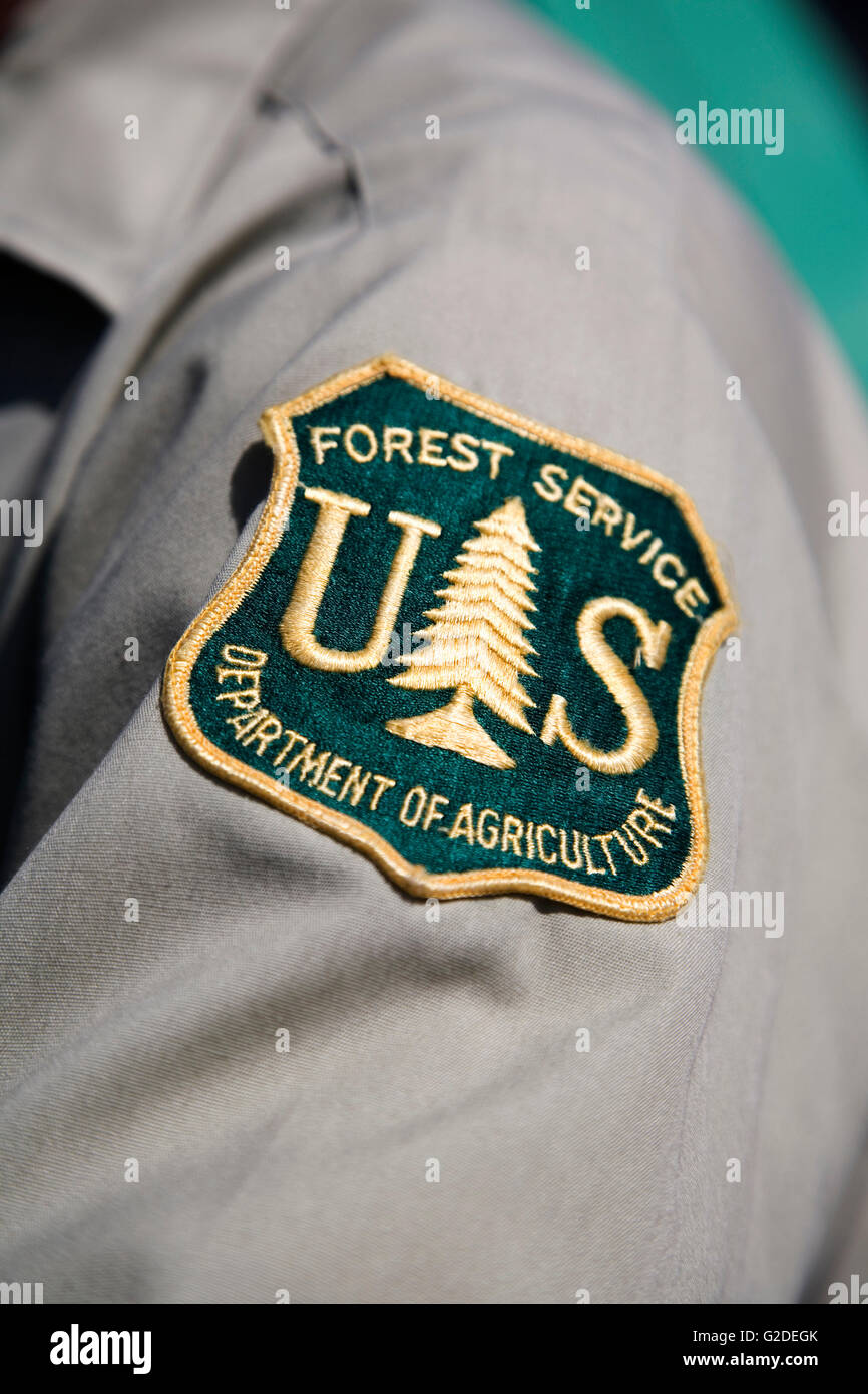 Parche de Servicio Forestal de Estados Unidos Foto de stock