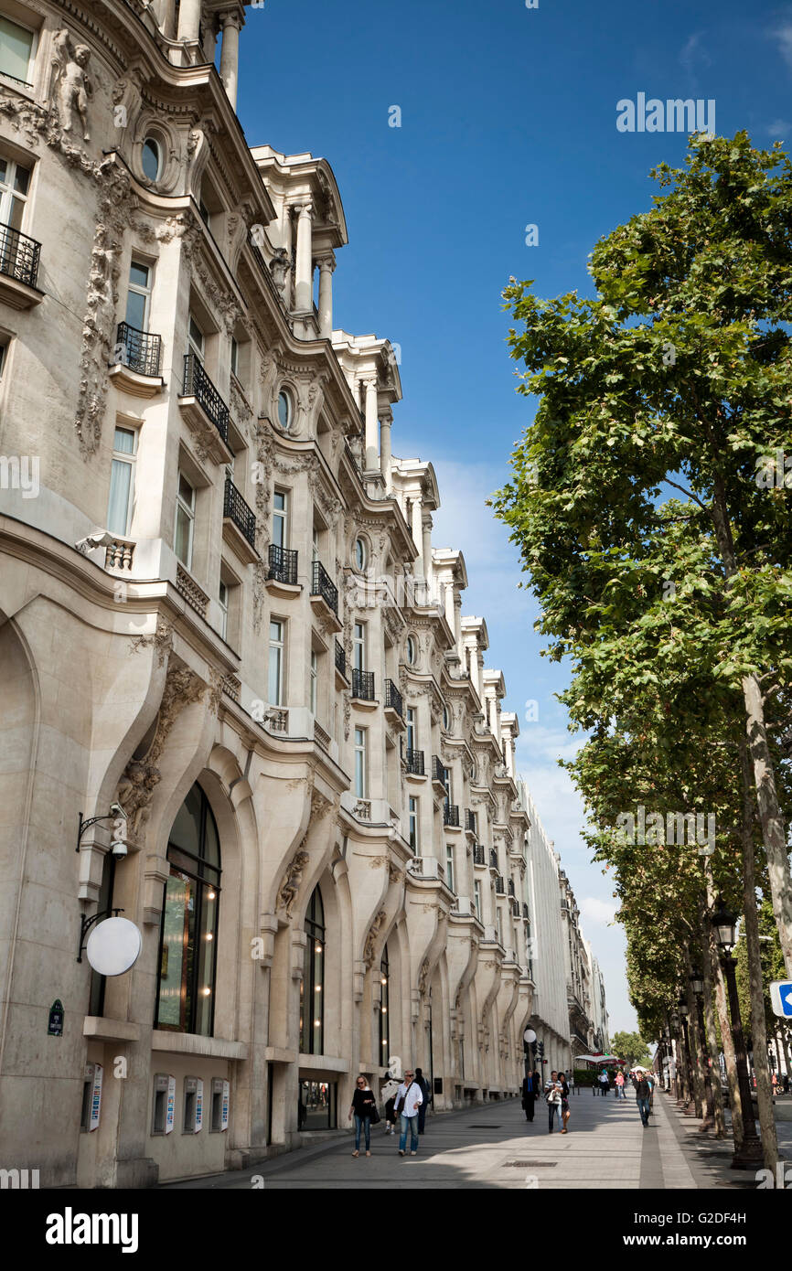 Árboles que bordean la calle residencial, París, Francia Foto de stock