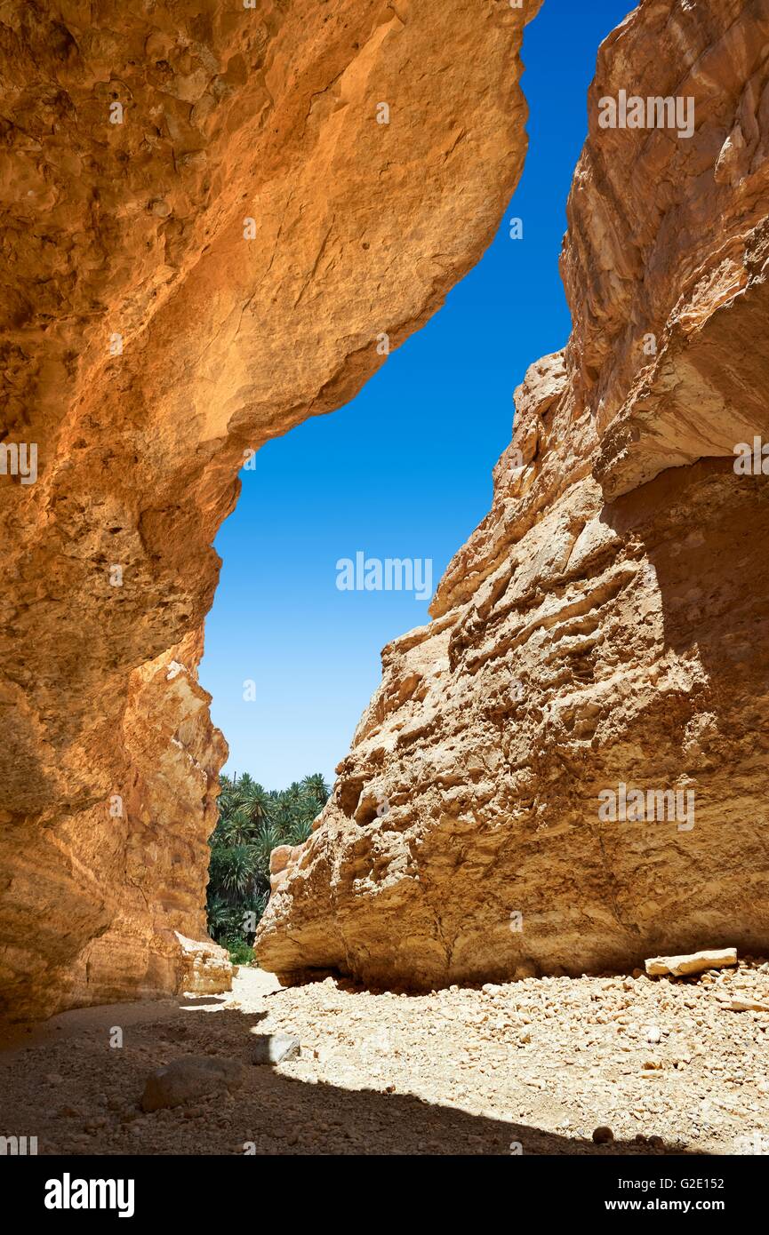 Mides Canyon, cerca del oasis de mides, el desierto del Sahara, Túnez Foto de stock