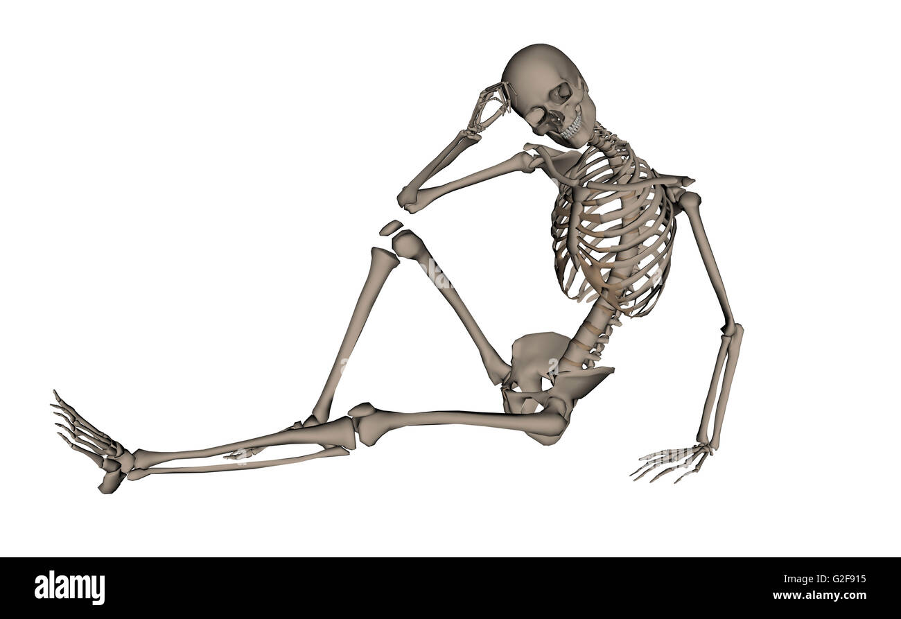 Vista frontal de un esqueleto humano posando, aislado sobre fondo blanco. Foto de stock