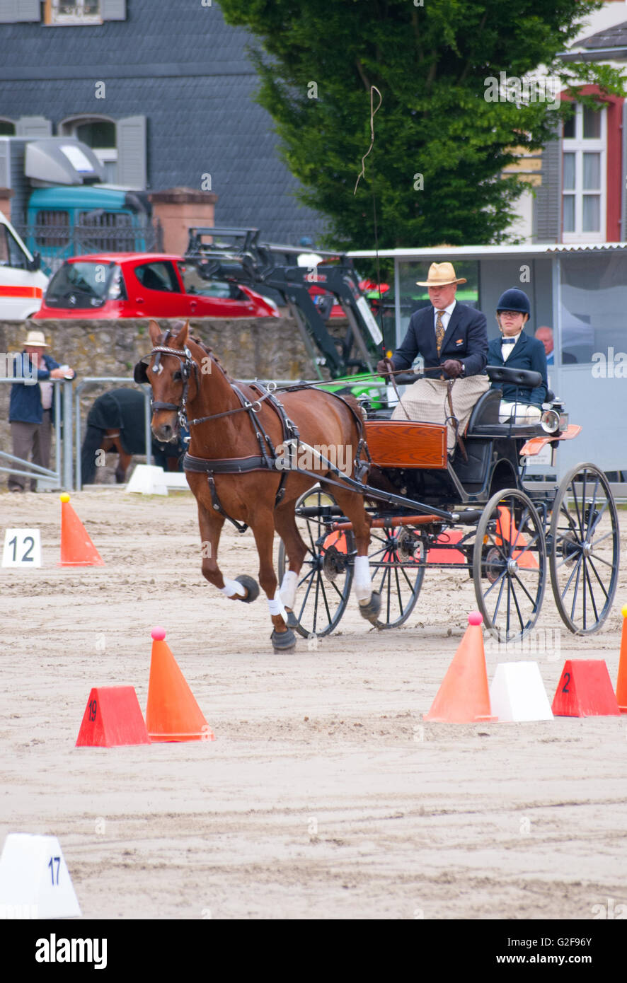 Carrera de obstáculos de la carrera de entrenador de caballos de carreras internacionales en Dillenburg, Alemania Foto de stock