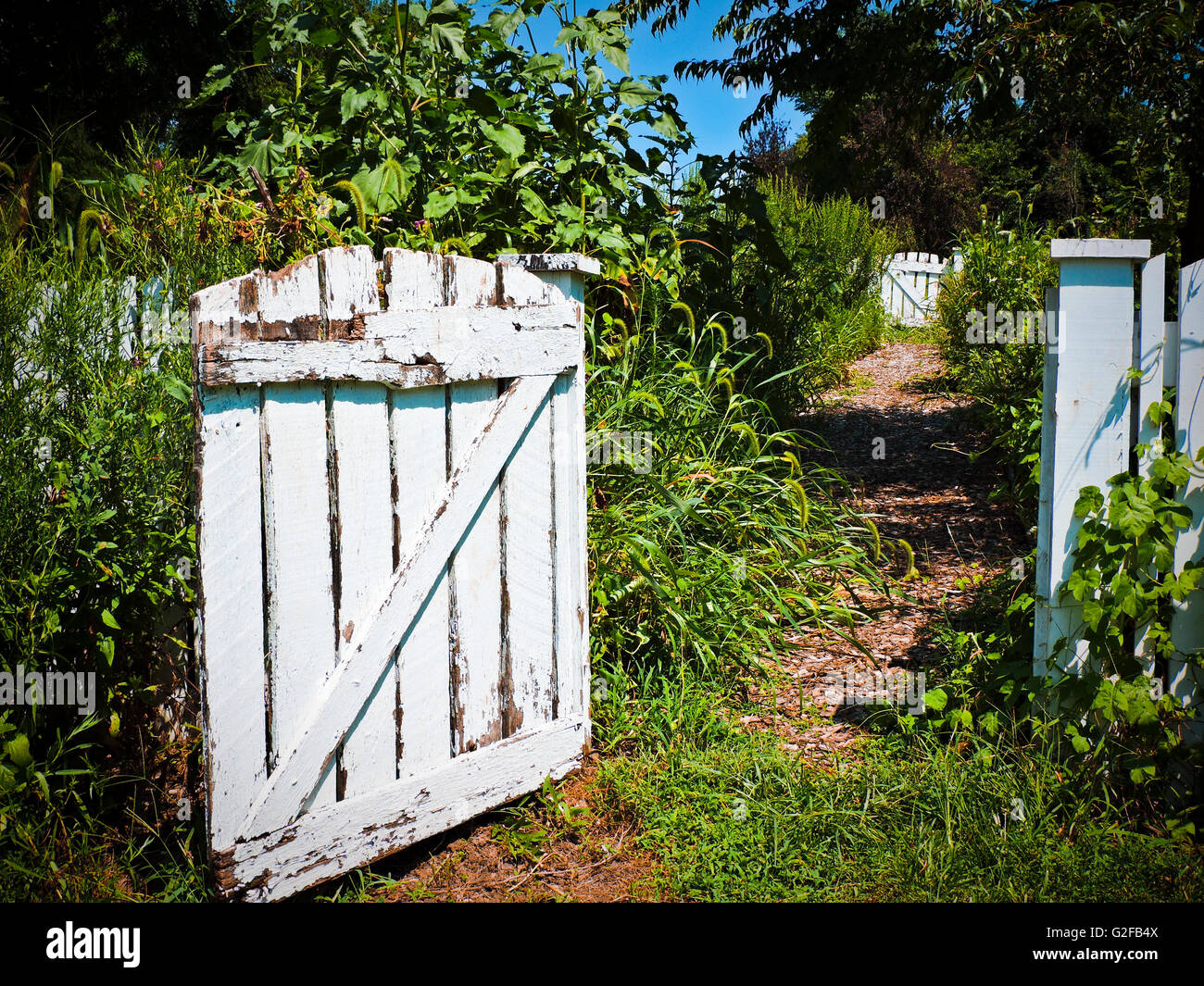 Excelsior springs fotografías e imágenes de alta resolución Alamy