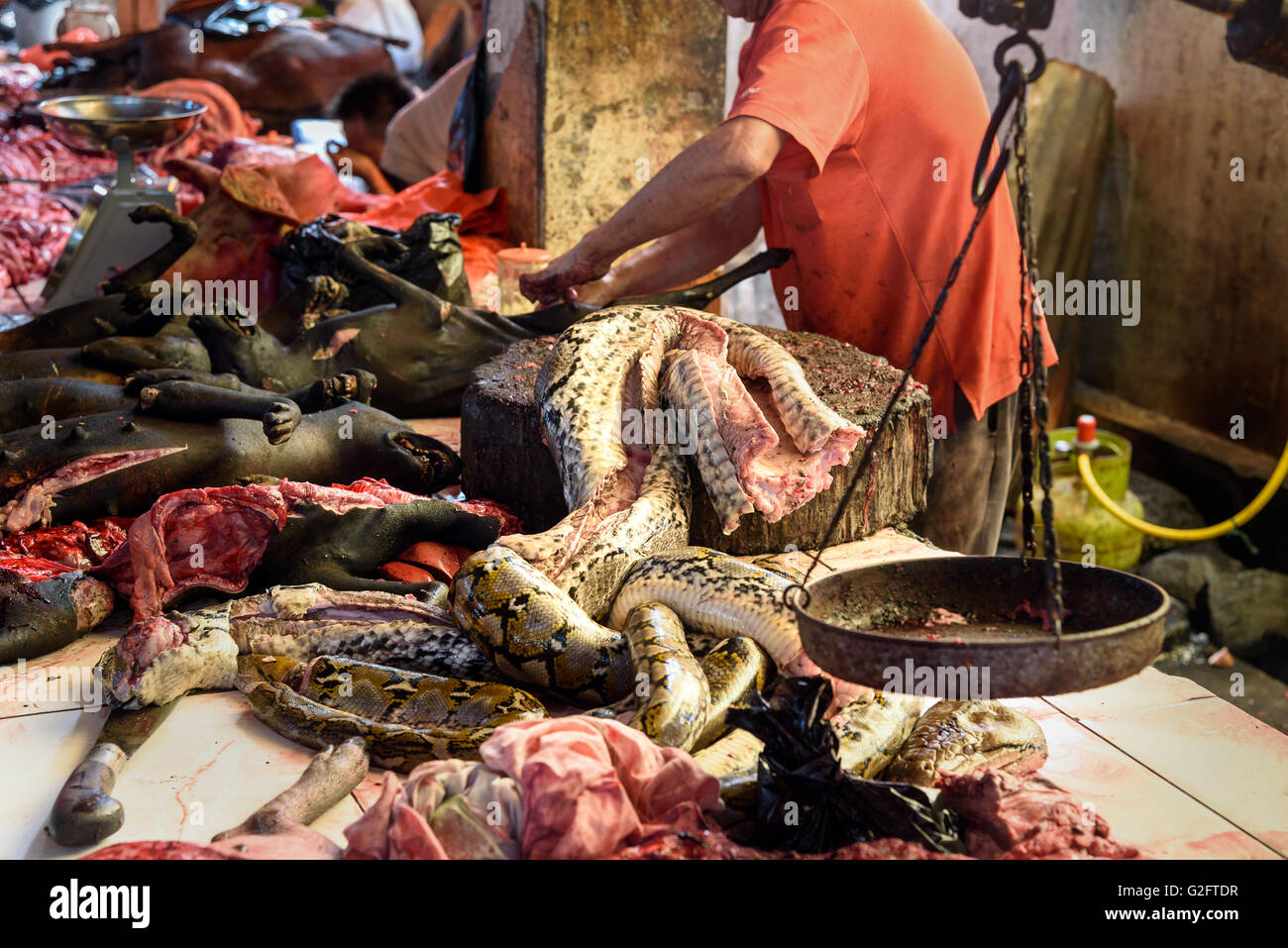 Carne de serpiente en Tomohon mercado tradicional. El norte de Sulawesi. Indonesia Foto de stock