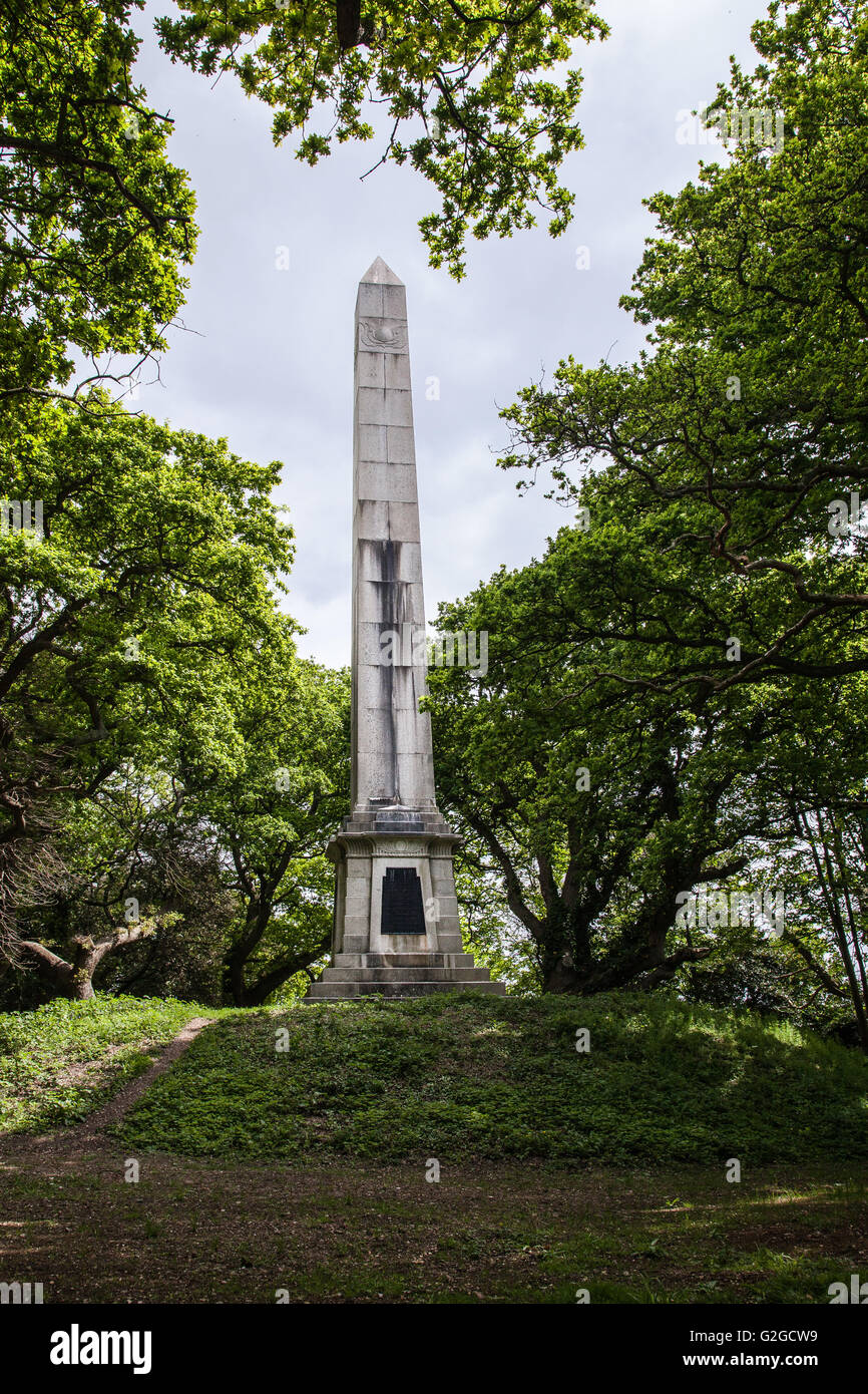 El 76' Grado II, se encuentra el obelisco cortadas en piedra de granito erigidos en Walhampton en memoria del héroe naval sir Harry Burrard-Neale Foto de stock