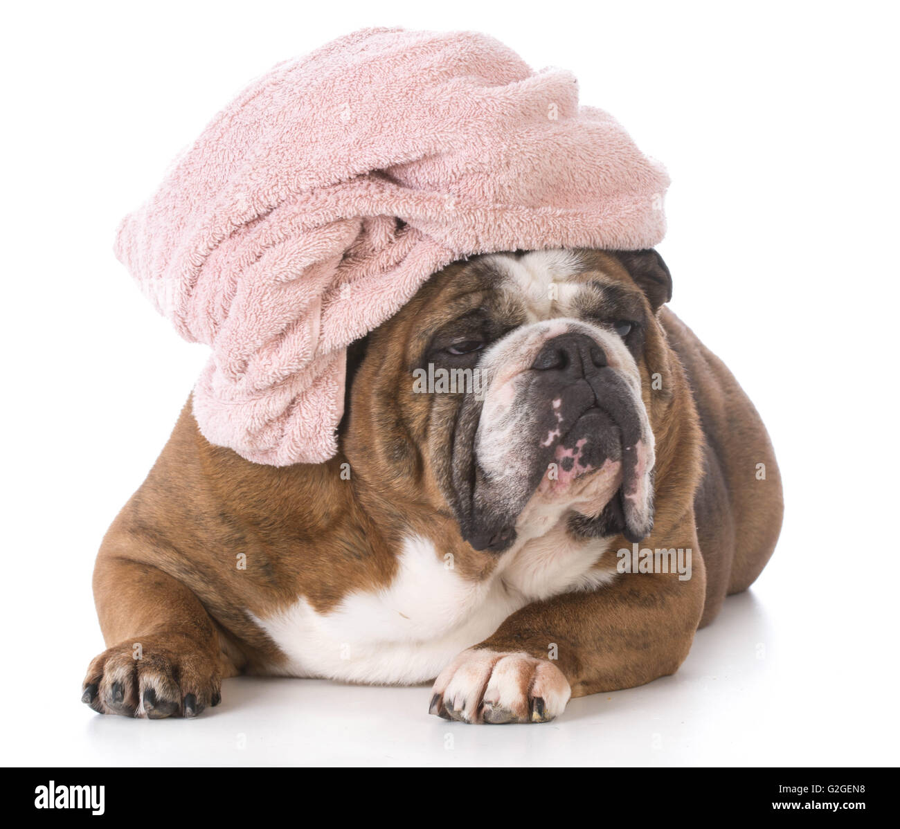 70 x 140 cm toalla de ducha cachorro de bulldog Toalla de baño para perros algodón toalla de playa 