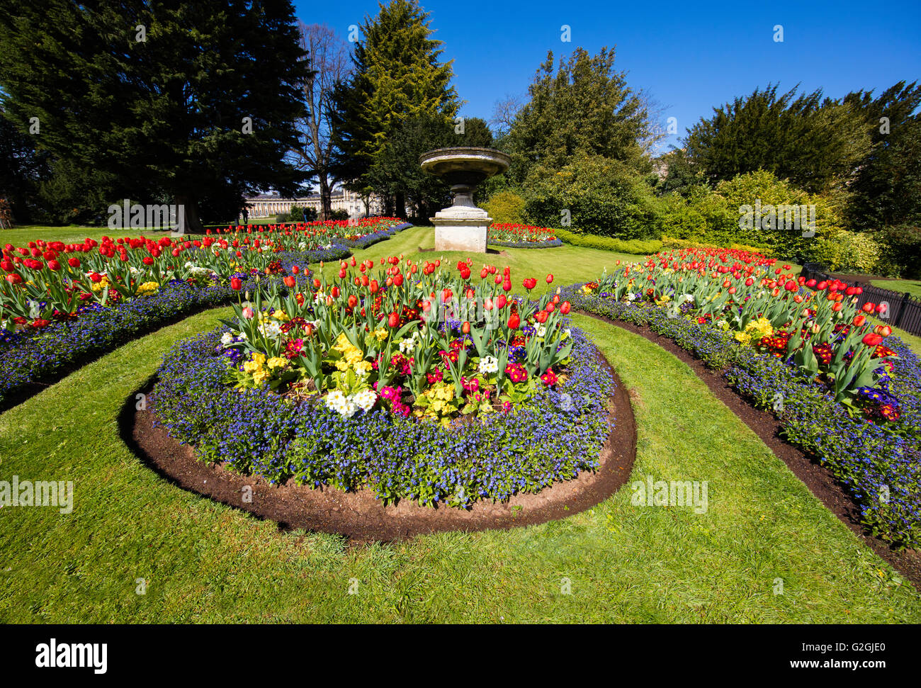 Los jardines municipales con parterres de tulipanes y maceteros anuales plantas cerca de Royal Crescent en Bath Somerset UK Foto de stock