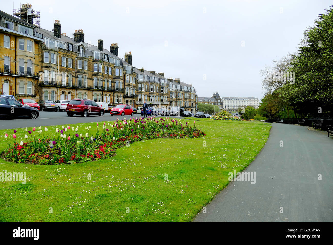 En Scarborough, Yorkshire, Reino Unido. El 13 de mayo de 2016. Camas de tulipanes en South Cliff en Scarborough, en North Yorkshire, Reino Unido. Foto de stock