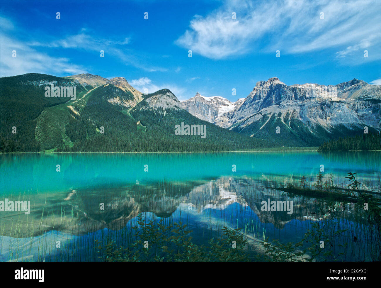 Montañas Rocosas se refleja en el lago Esmeralda Parque Nacional Yoho British Columbia Canadá Foto de stock