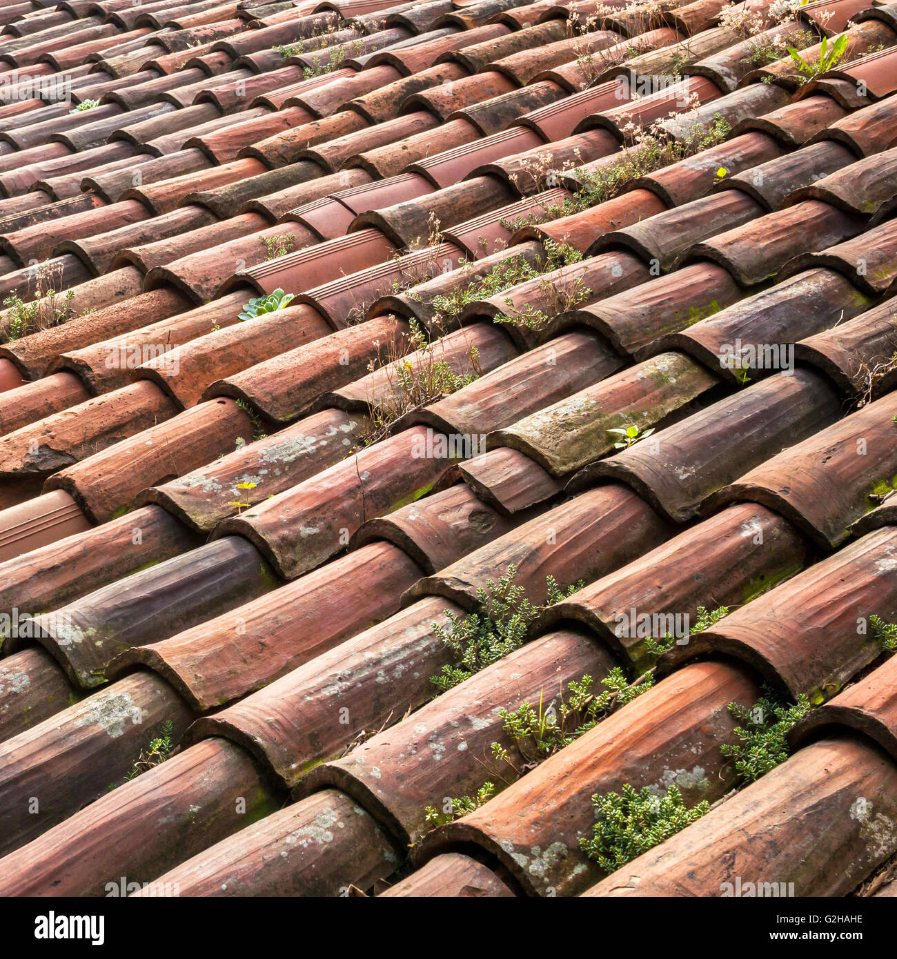 Viejo techo de tejas de arcilla detalle en formato horizontal Foto de stock
