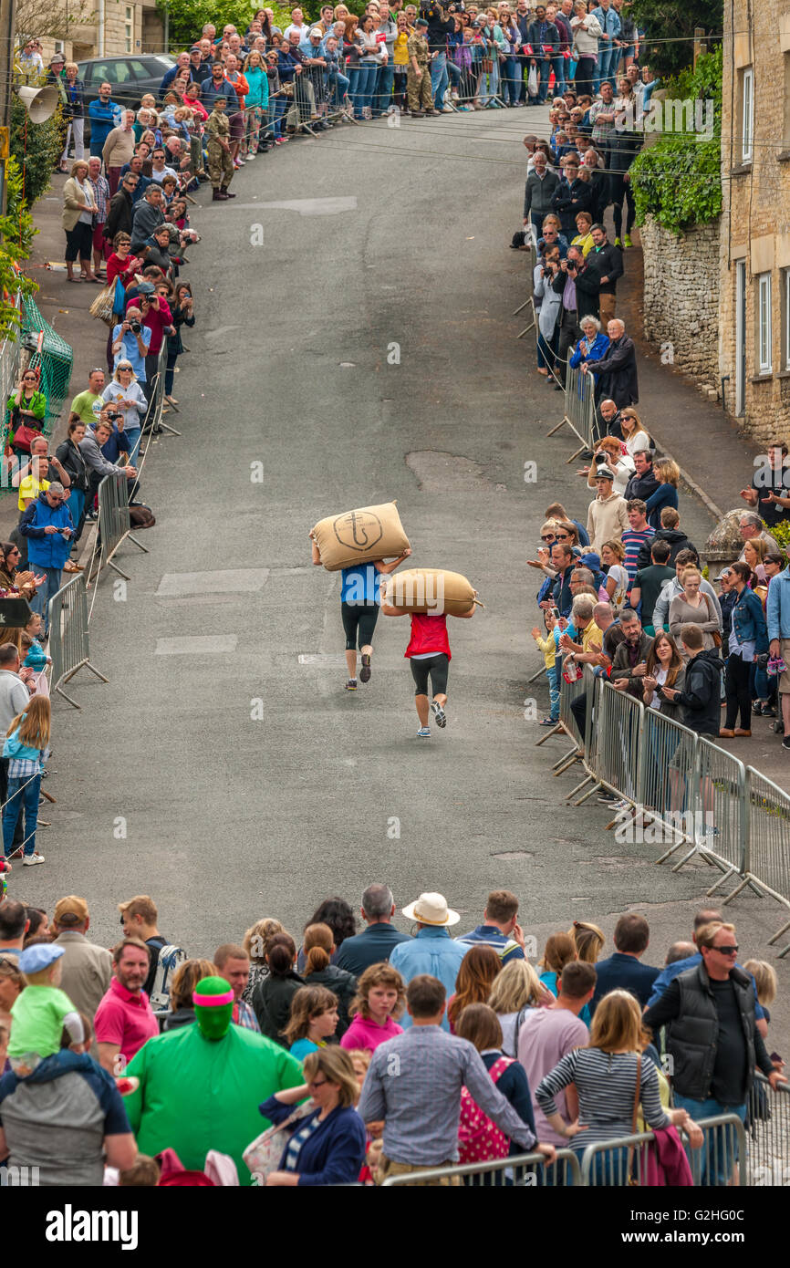 Tetbury razas Woolsack 2016 Foto de stock