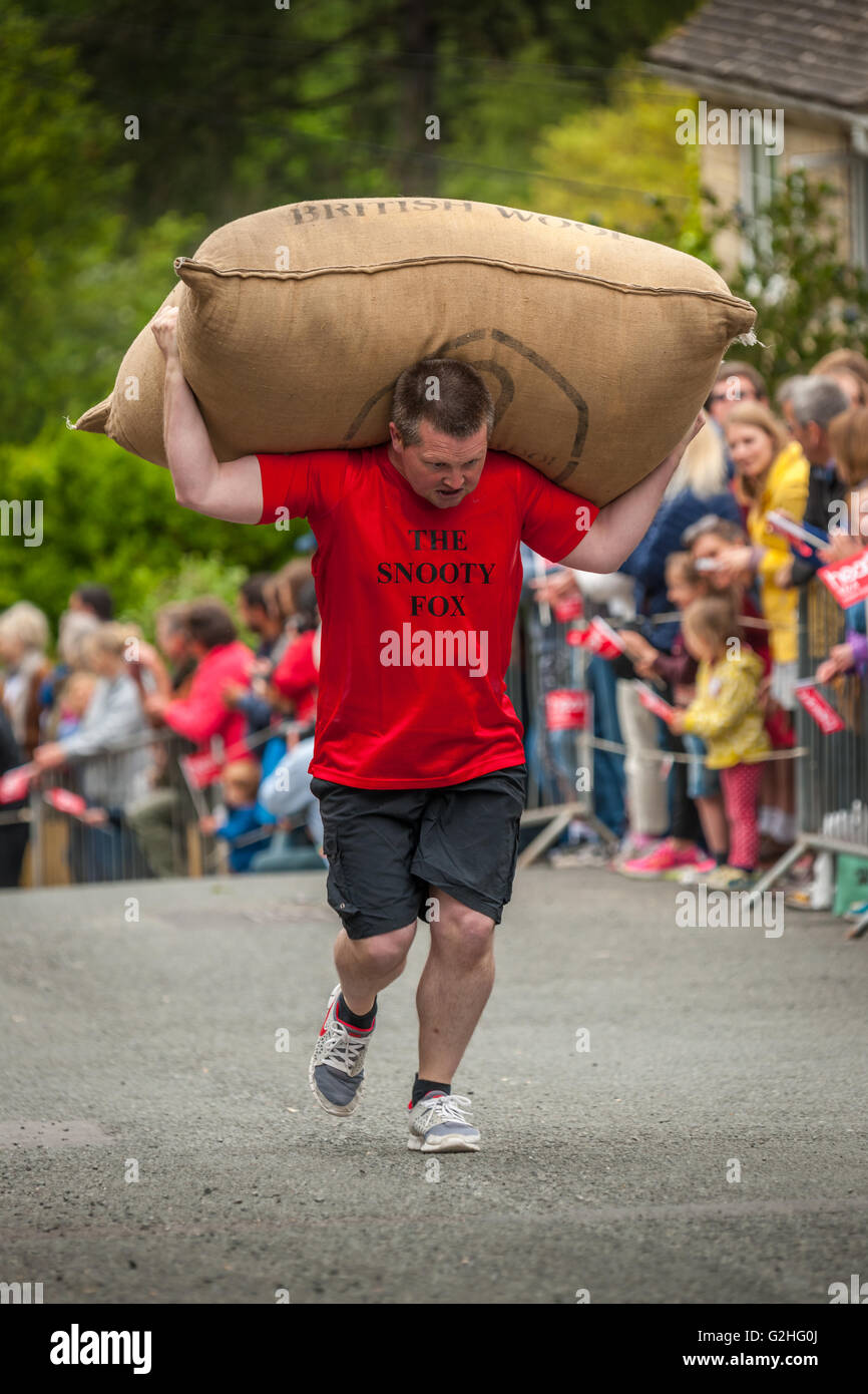 Tetbury razas Woolsack 2016 Foto de stock