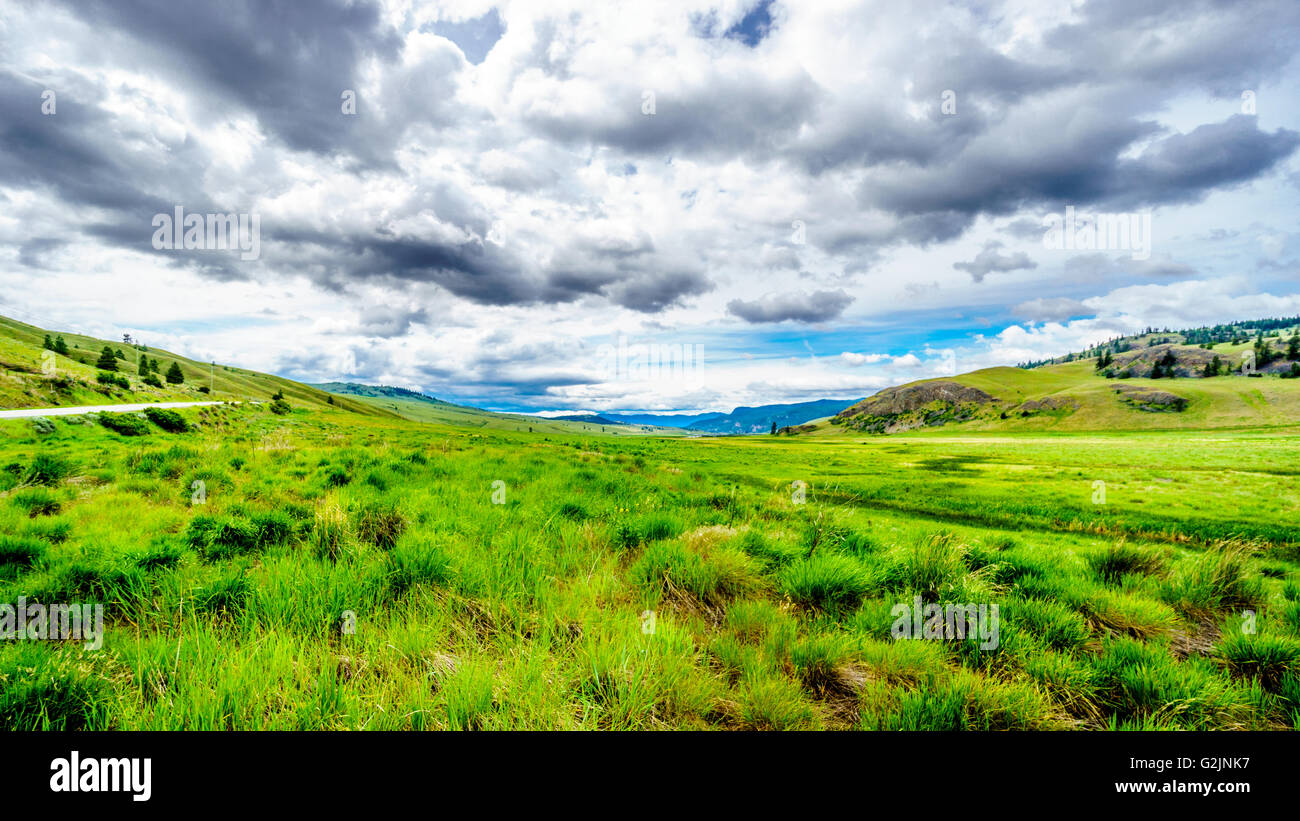 Las praderas y colinas del valle Nicola entre Kamloops y Merritt