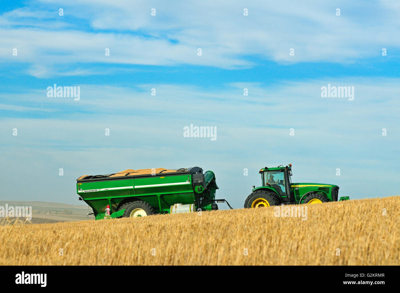 El transporte de trigo duro en carro de grano Carmichael Saskatchewan Canadá Foto de stock