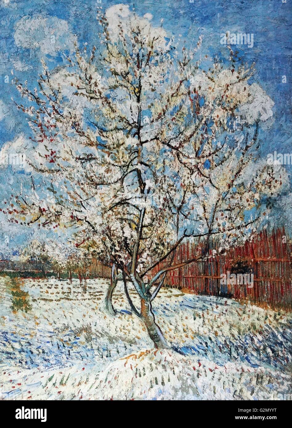 Pintada por el famoso artista holandés Vincent Van Gogh (30 de marzo de 1853 - 29 de julio de 1890), el trabajo titulado 'el florecimiento de durazno". Terminado en 1888. Foto de stock