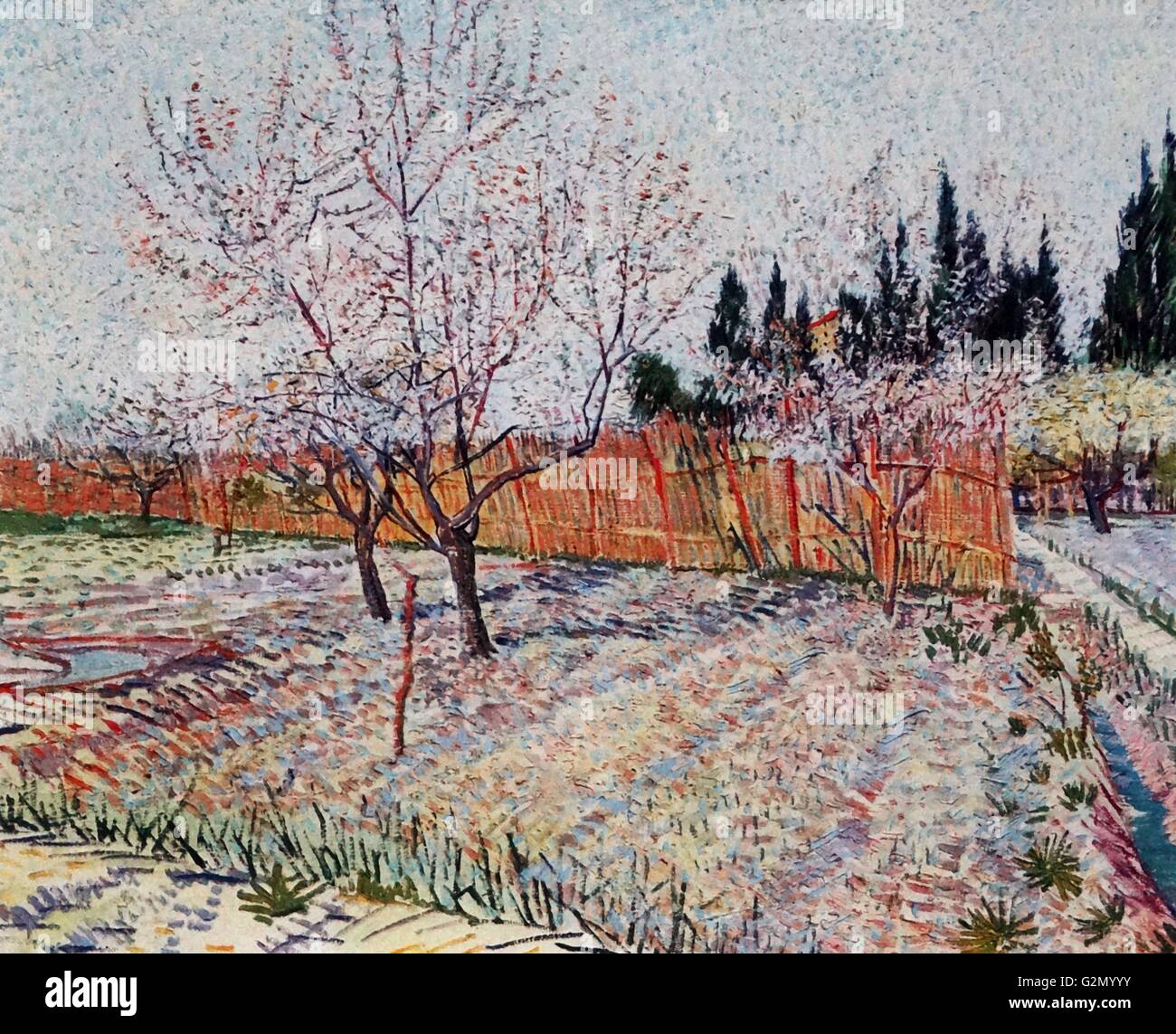 Pintada por el famoso artista holandés Vincent Van Gogh (30 de marzo de 1853 - 29 de julio de 1890), el trabajo titulado 'el huerto con el florecimiento de durazno". Terminado en 1888. Foto de stock