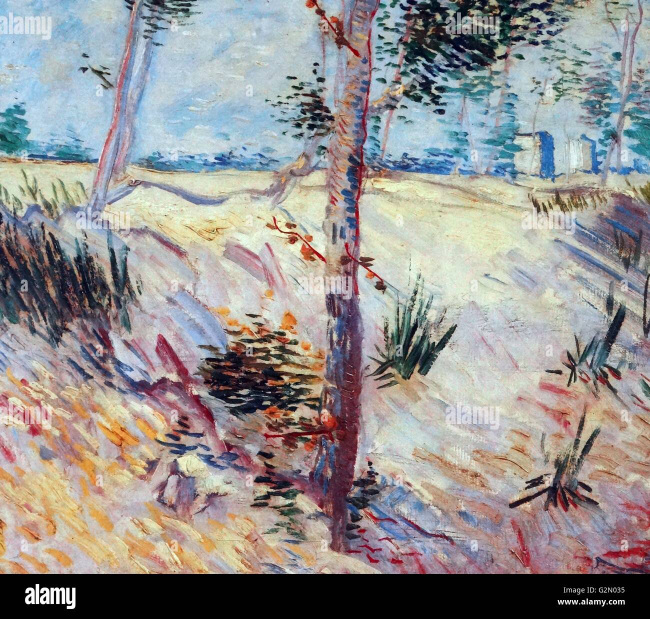 Óleo sobre lienzo pintada por el famoso artista holandés Vincent Van Gogh (30 de marzo de 1853 - 29 de julio de 1890), el trabajo titulado 'árboles en un campo en un día soleado". Terminado en 1887. Foto de stock