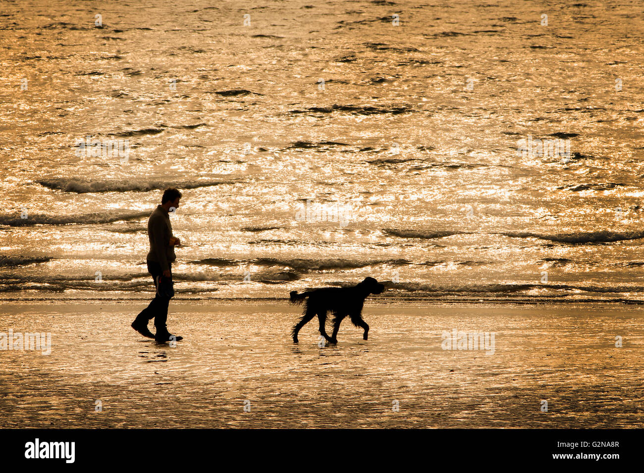 Hombre caminando con su perro por la playa al atardecer, Prestwick, en Ayrshire, Escocia, Reino Unido Foto de stock