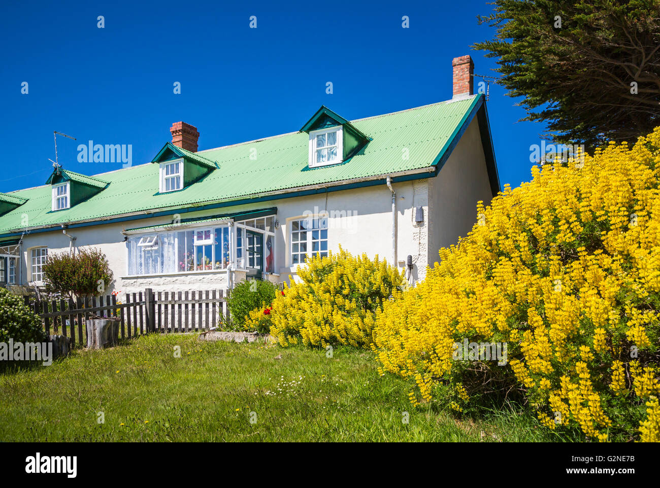 Una fila Casa en Stanley, East Falkland, Islas Malvinas, Territorio Británico de Ultramar. Foto de stock