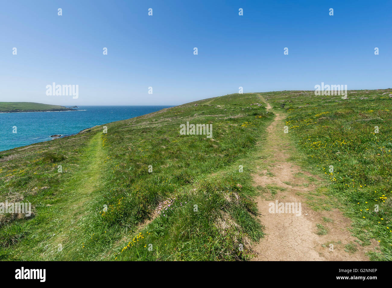 Clima soleado. Senderos gastados en East Pentire cabecero en Newquay, Cornwall. Foto de stock