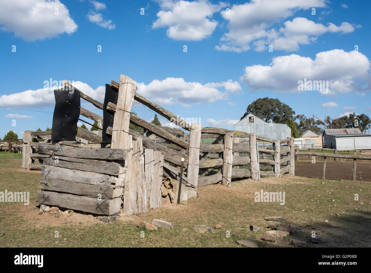 Una vieja madera desgastada ovinos y bovinos en rampa de carga Uralla NSW, Australia Foto de stock